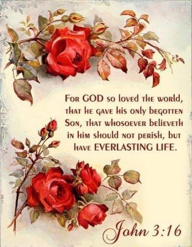 25dec306-9c73-493c-952c-beef40e5d229