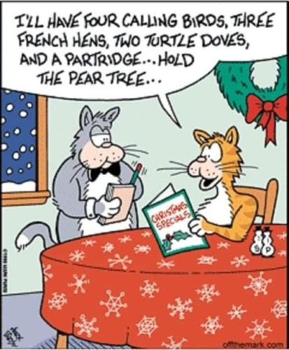 cats_12days_xmas_order