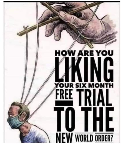 Screenshot_2022-12-08-06-47-53-44_40deb401b9ffe8e1df2f1cc5ba480b12