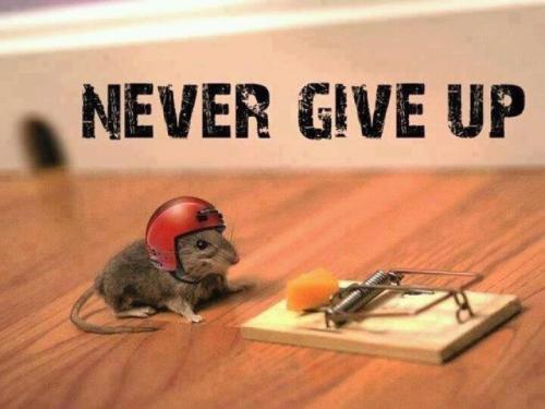 never-give-up