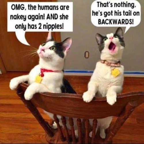FB_IMG_1671140319043
