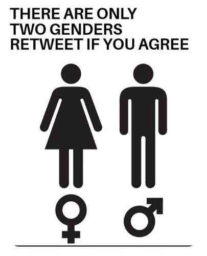 c9999984-0cfa-4189-9f18-70b57496e463