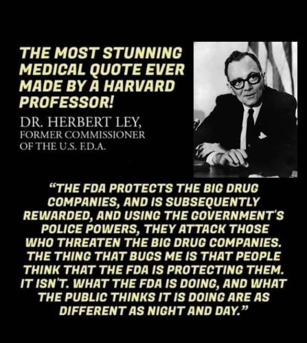 Screenshot_2022-12-04-21-47-13-93_1c337646f29875672b5a61192b9010f9