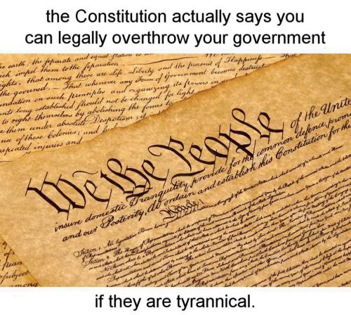 constitution13