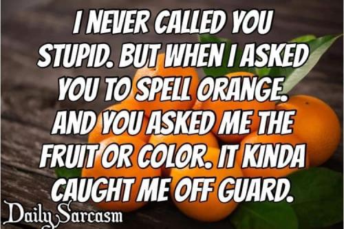 316817519_6258699794160279_7622975979536649247_n