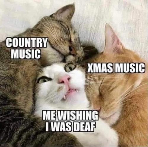 5784e721-d097-4510-b5b2-6ac0a72e8d1b