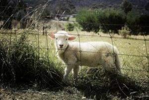 da555dc4-e0d6-4b80-8558-ad9dcf702e42