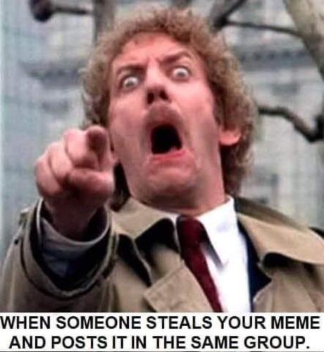 FB_IMG_1670961482821