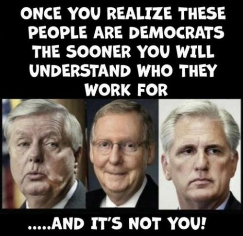 rinos08