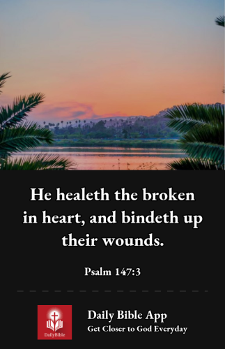 2022-12-011669939926617