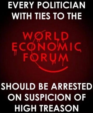 world economic forum27