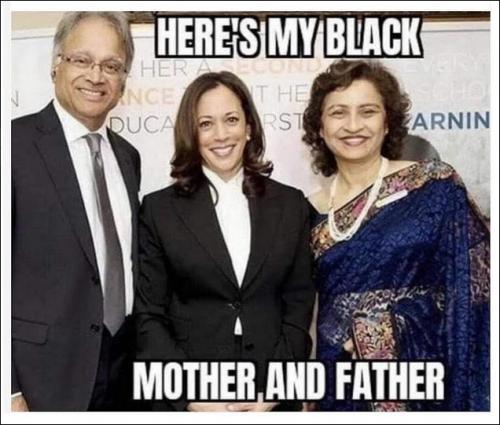 kamala harris219