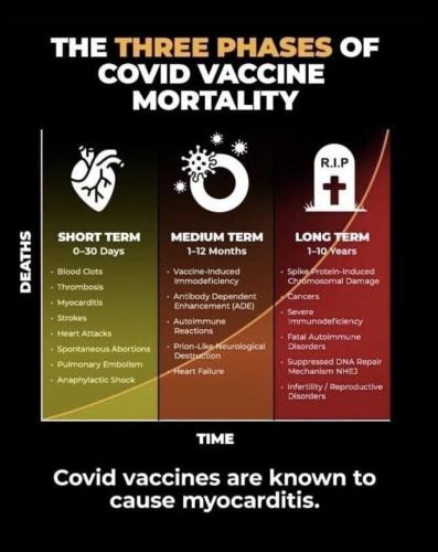 3E71223D-E531-41CE-B0F2-FEB2365F10DD