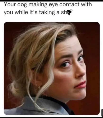 FB_IMG_1671139651863