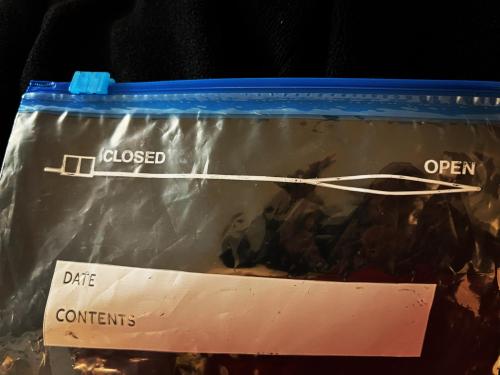 08:35:37 GMT-0600 (Central Standard Time).image