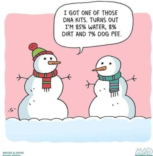 322734754_1330389774417313_6345209231610771502_n