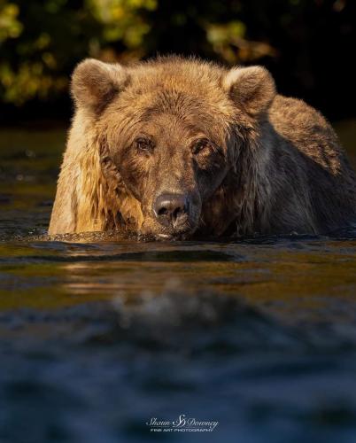 317753754_625812806007518_7523278973578668140_n