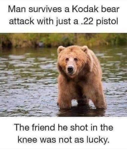 tumblr_afc6acfacccdd19b26b47081105470b3_b0411262_540