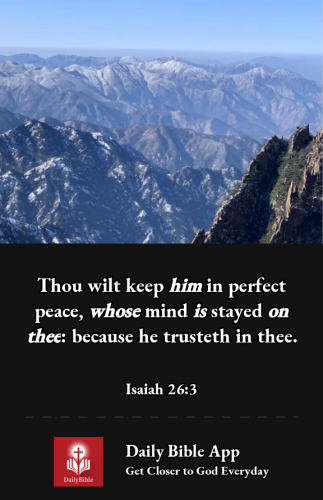 2022-12-191671495434331