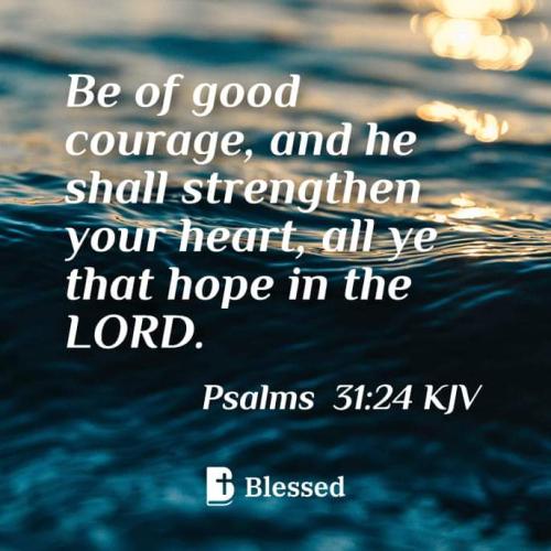 FB_IMG_1672457199468