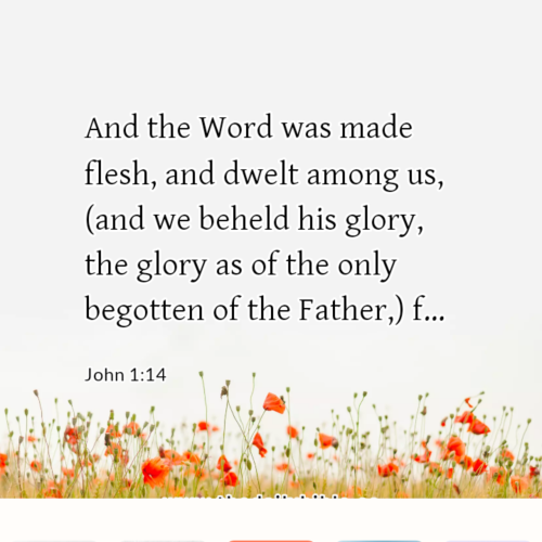 dailybible_20221222-012457_John_1-14