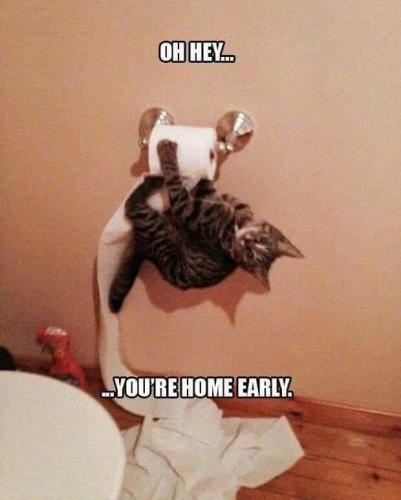 FB_IMG_1671555926290
