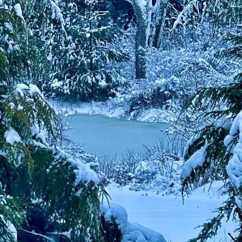 5898DB66-50C7-412E-9710-F53F3B637AF1