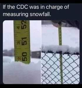 FB_IMG_1672279257256