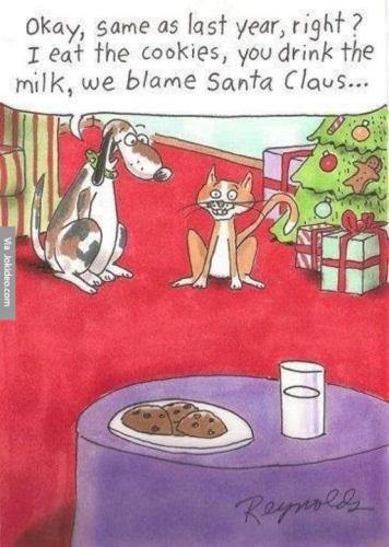 319539987_10222323501785544_7595735472480102003_n