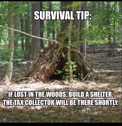 FB_IMG_1670289869997