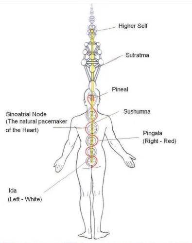 Screenshot_2022-12-22-12-18-07-01_1c337646f29875672b5a61192b9010f9