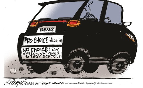 payn_c19437520221115094556-500x310