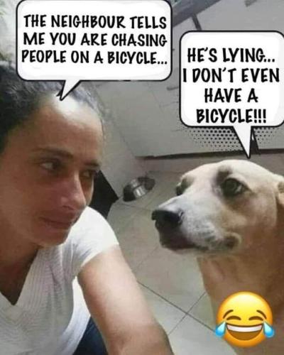 316526830_462058512779031_1716902341089762898_n