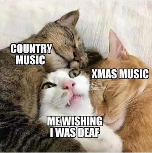 FB_IMG_1671982945962