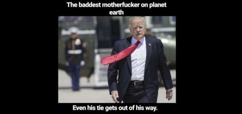 Trump 8