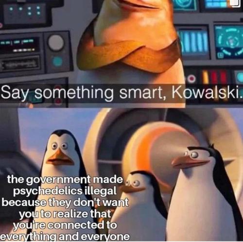 Screenshot_2022-12-02-19-19-10-66_1c337646f29875672b5a61192b9010f9