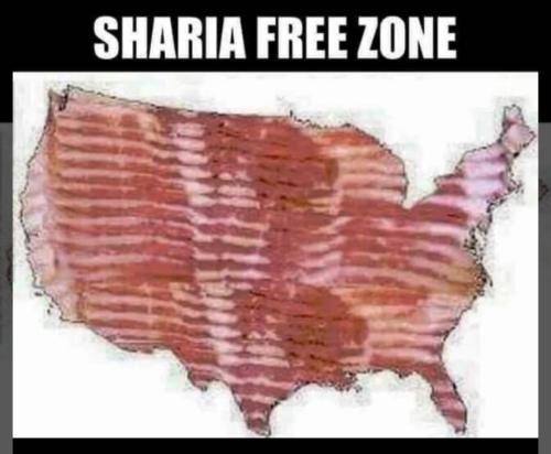 319431845_1556331201551982_2322508343163522984_n