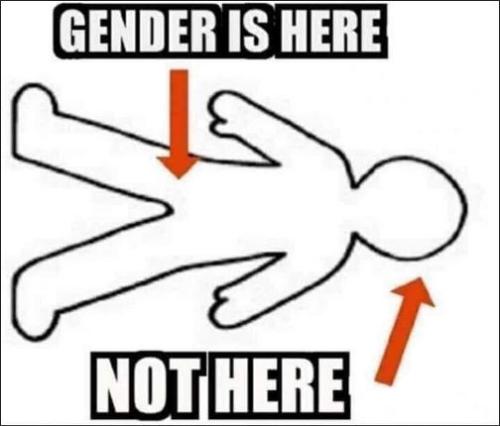 gender19