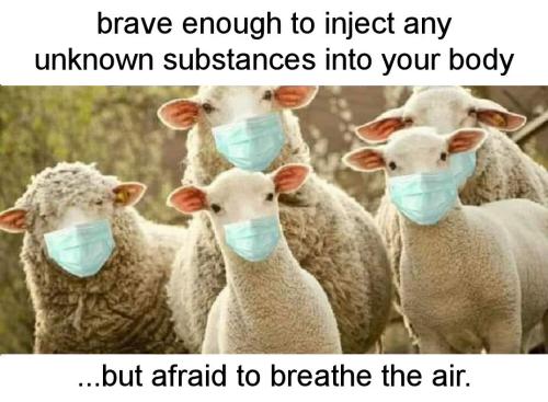masks312