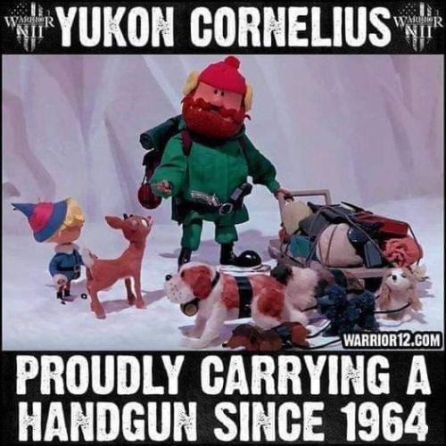 FB_IMG_1669993408435