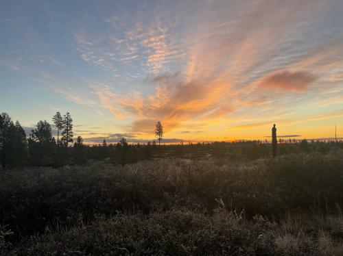 1FD9055B-5AF9-4E2D-A21B-A5DDA3133CFA