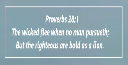 photo_2022-12-10_00-25-43