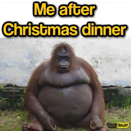 30337799-514a-4096-a80f-73826522a24e