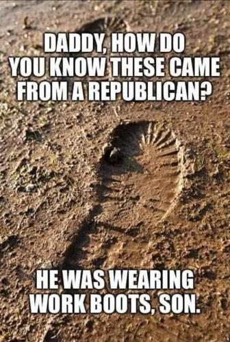 FB_IMG_1669942421685