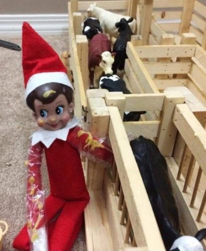 FB_IMG_1671291018152