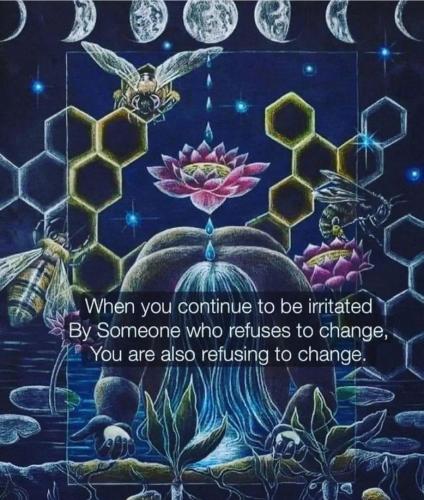 Screenshot_2022-12-19-21-28-10-41_1c337646f29875672b5a61192b9010f9