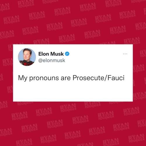 FB_IMG_1670826298653