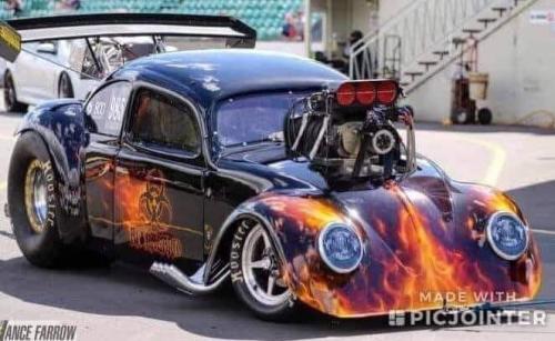 FB_IMG_1669602766246