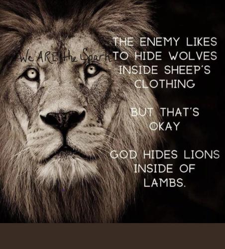 IMG_20221201_151858_079