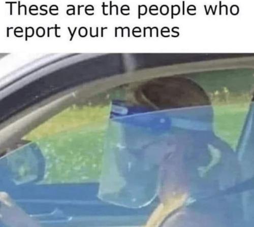 FB_IMG_1670459430245